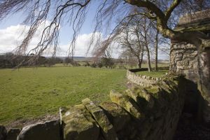 barnard castle ox pasture farm 37 sm.jpg